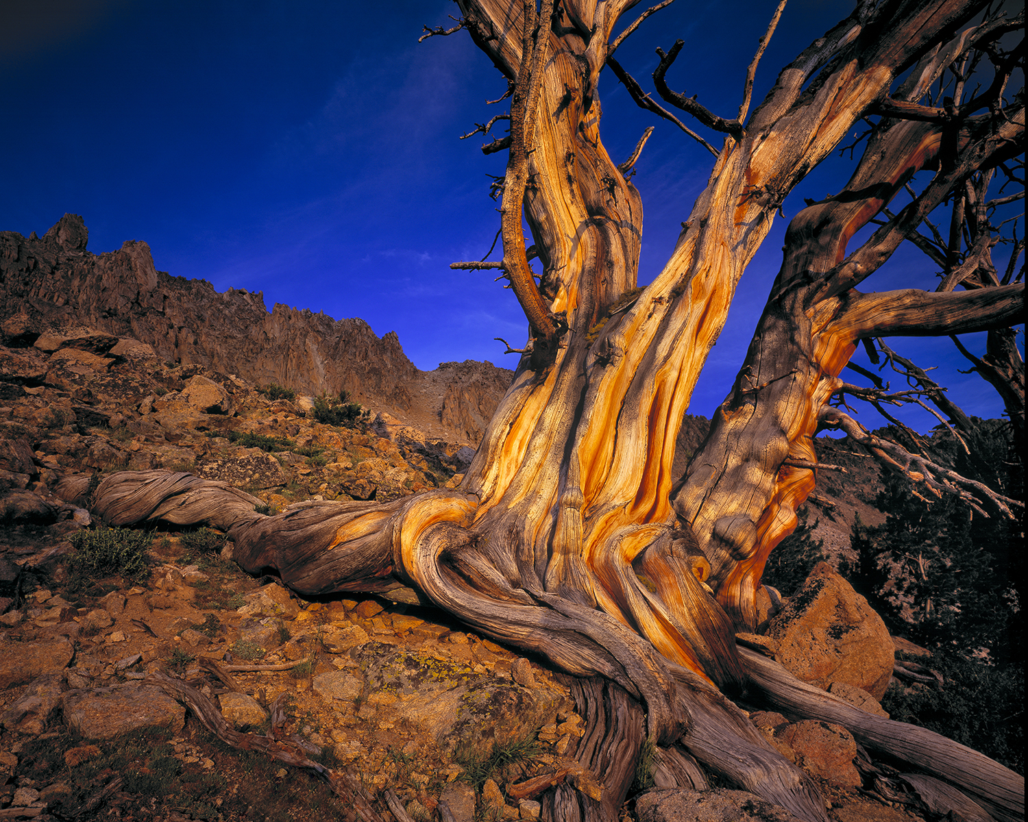 Idaho mountain wilderness